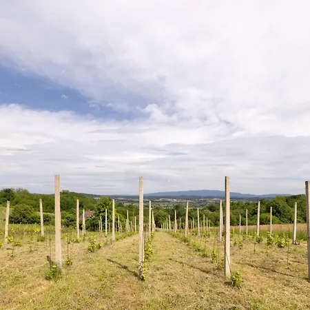 Roland House With Pool & Winery Апартаменты *