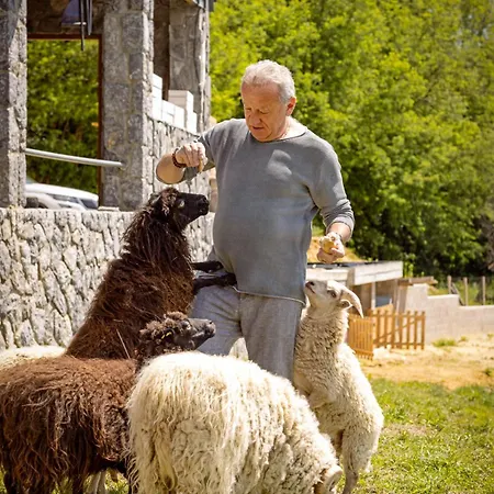 Roland House With Pool & Winery Apartamento Stara Vas-Bizeljsko