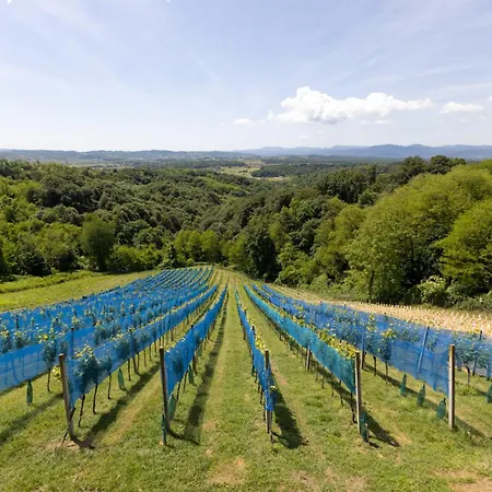 Апартаменты Roland House With Pool & Winery Stara Vas-Bizeljsko