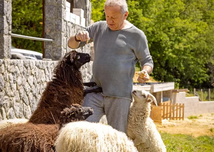 Roland House With Pool & Winery Apartment Stara Vas-Bizeljsko