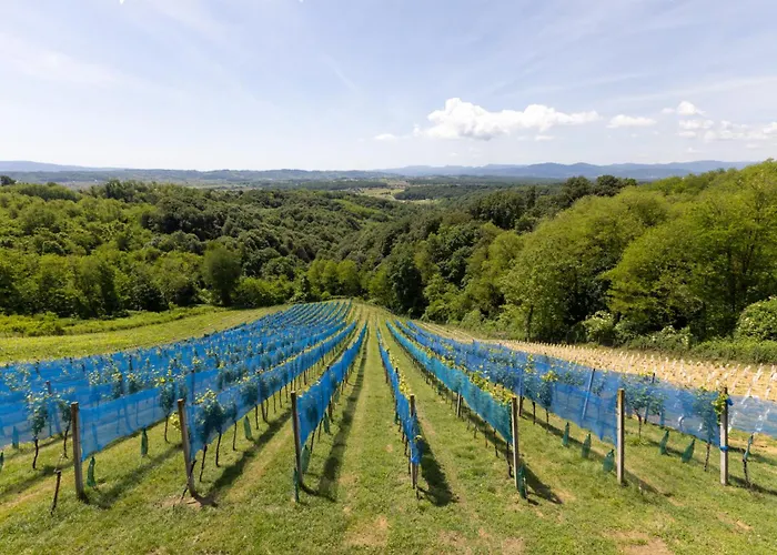 Daire Roland House With Pool & Winery Stara Vas-Bizeljsko